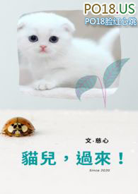猫儿过来全文免费阅读