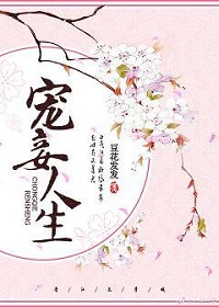 宠妾系列小说推荐